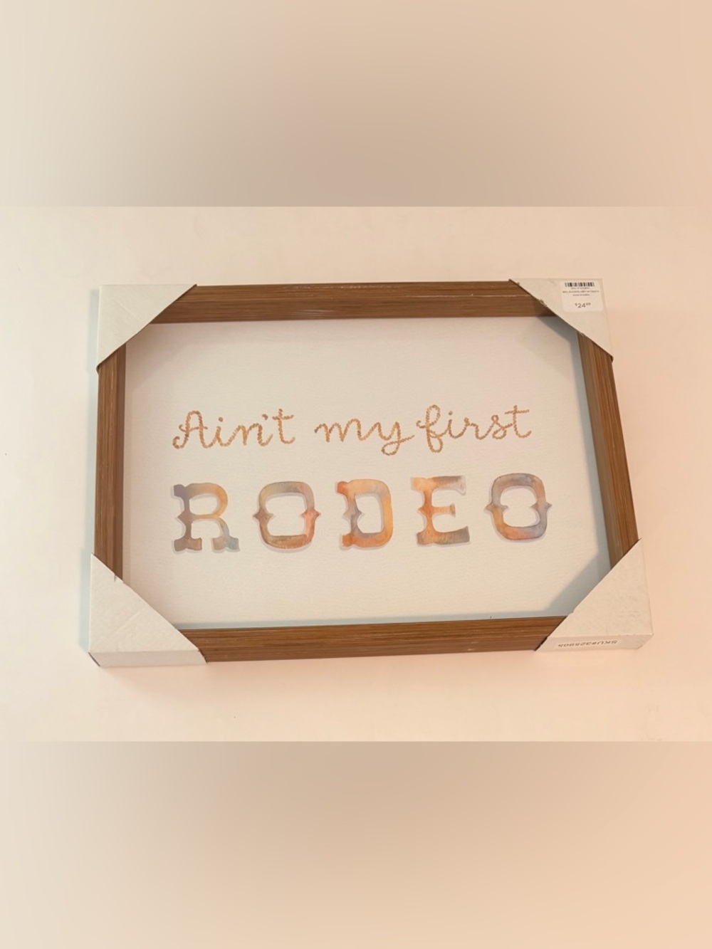 Ain't My First Rodeo Framed Wall Art